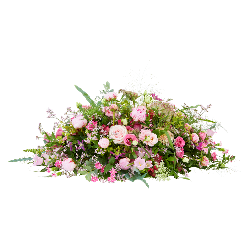 Pioenpracht